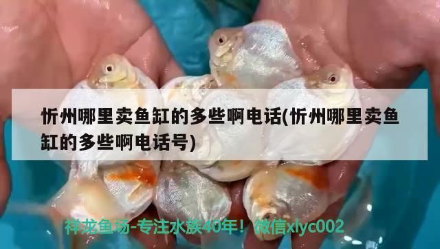 忻州哪里賣魚缸的多些啊電話(忻州哪里賣魚缸的多些啊電話號)