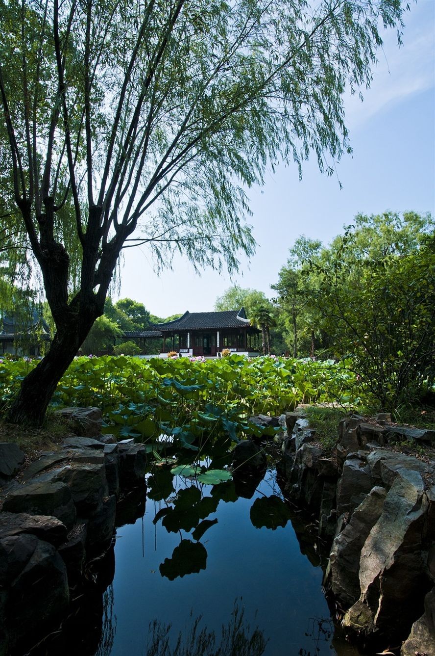 長治觀賞魚養殖基地在哪個位置啊（ 長治哪里有賣魚的地方） 長治觀賞魚養殖基地在哪個位置啊（ 長治哪里有賣魚的地方） 吉印水族