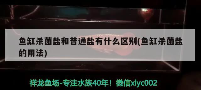 魚缸殺菌鹽和普通鹽有什么區別(魚缸殺菌鹽的用法)