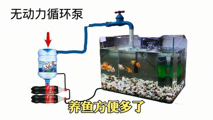深圳出發自駕一趟西藏到底要多長時間(深圳自駕西藏要幾天)