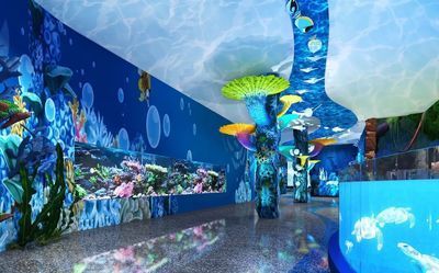 國內水族館推薦（上海海洋水族館親子游玩攻略）