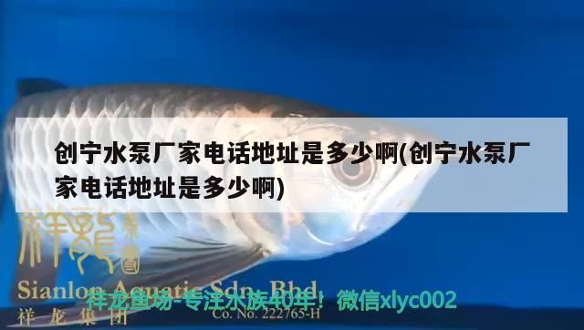 創寧水泵廠家電話地址是多少啊(創寧水泵廠家電話地址是多少啊)