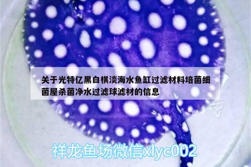 關(guān)于光特億黑白棋淡海水魚缸過濾材料培菌細(xì)菌屋殺菌凈水過濾球?yàn)V材的信息