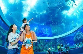 世界最大水族館展示窗：世界上最大的水族館展示窗位于珠海長隆海洋王國 世界最大水族館展示窗：世界上最大的水族館展示窗位于珠海長隆海洋王國 水族館百科（水族館加盟） 第1張