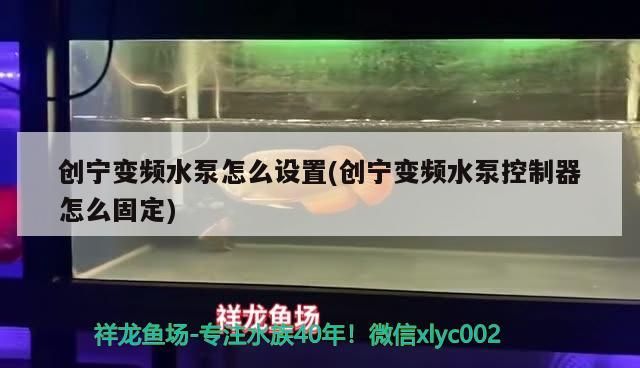 創寧變頻水泵怎么設置(創寧變頻水泵控制器怎么固定)