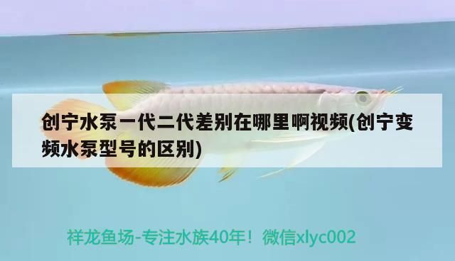 創(chuàng)寧水泵一代二代差別在哪里啊視頻(創(chuàng)寧變頻水泵型號的區(qū)別)
