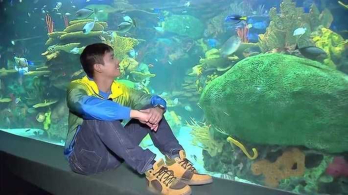 水族館是賣什么的啊視頻（水族館主要展示各種海洋生物）