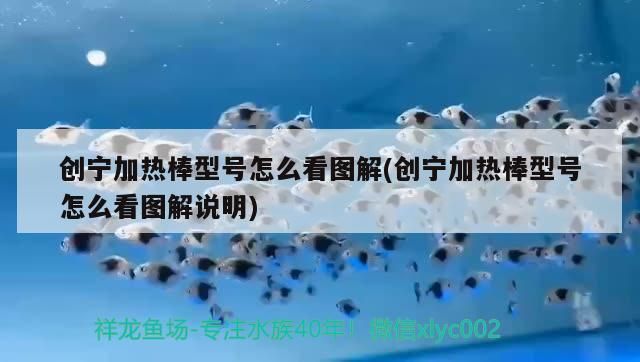 創寧加熱棒型號怎么看圖解(創寧加熱棒型號怎么看圖解說明) 創寧加熱棒型號怎么看圖解(創寧加熱棒型號怎么看圖解說明) 創寧水族