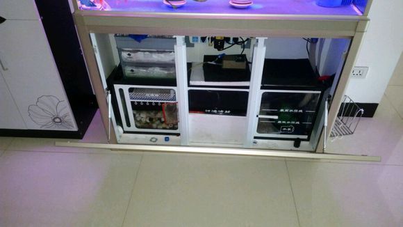 老魚匠造浪泵夜間模式是幾檔（老魚匠造浪泵夜間模式干什么用）