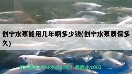 創寧水泵能用幾年啊多少錢(創寧水泵質保多久)