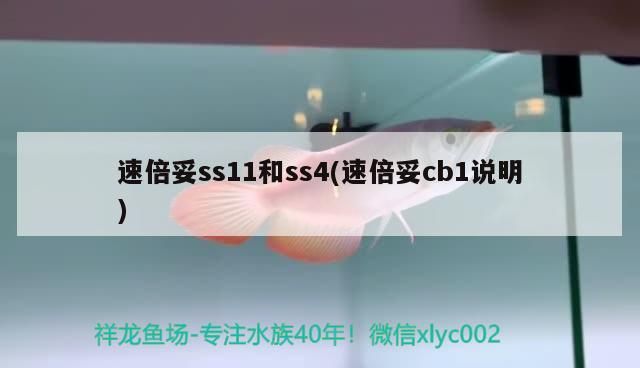 速倍妥ss11和ss4(速倍妥cb1說明)