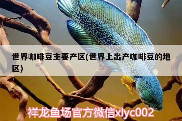 金龍魚哪種品種好一點：如何挑選健康的金龍魚品種？
