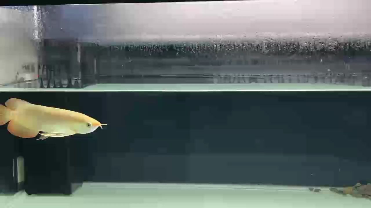 舒服！