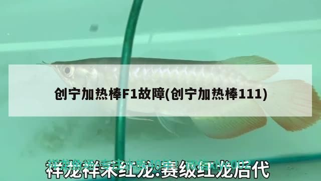 創(chuàng)寧加熱棒F1故障(創(chuàng)寧加熱棒111) 創(chuàng)寧加熱棒F1故障(創(chuàng)寧加熱棒111) 創(chuàng)寧水族