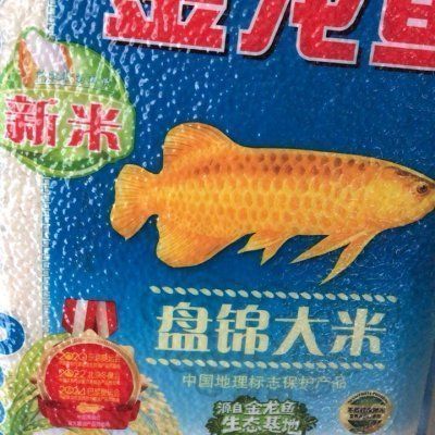 金龍魚寵物vs祥龍魚場：金龍魚寵物和祥龍魚場口碑評價祥龍魚場售后服務