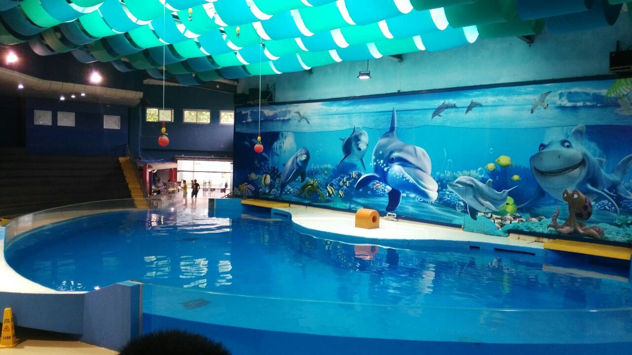 開個水族館大概需要多少錢（開一個水族館需要多少錢？）