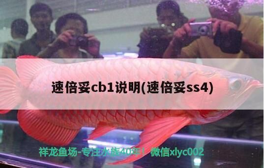 速倍妥cb1說明(速倍妥ss4)