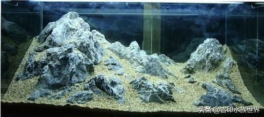 600魚缸造景：600魚缸造景的基本原則，魚缸造景的基本原則和原則 600魚缸造景：600魚缸造景的基本原則，魚缸造景的基本原則和原則 魚缸百科 第3張