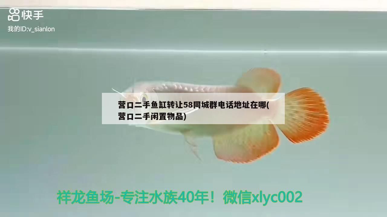 營(yíng)口二手魚(yú)缸轉(zhuǎn)讓58同城群電話地址在哪(營(yíng)口二手閑置物品)