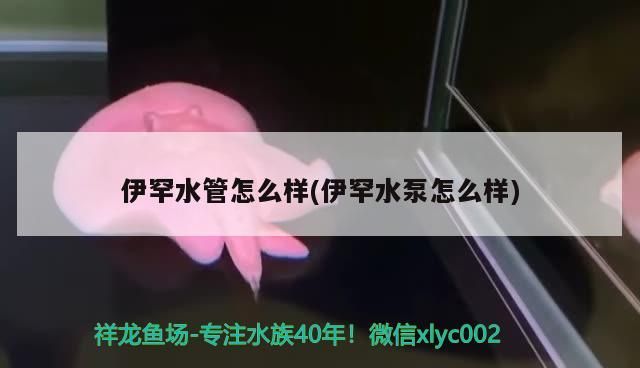 伊罕水管怎么樣(伊罕水泵怎么樣)