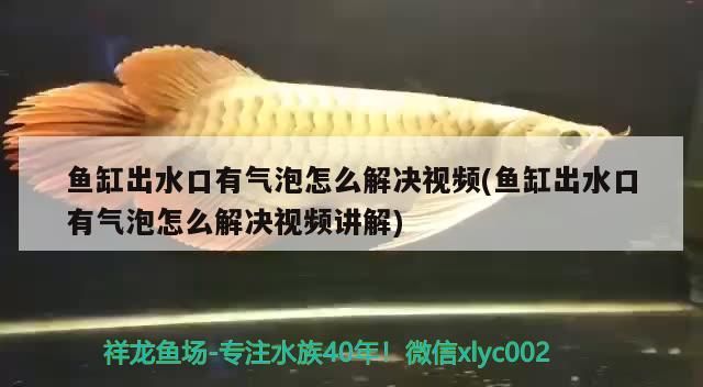 魚缸換水可以燒開水嘛？燒開水的優(yōu)點(diǎn)，魚缸換水可以燒開水嘛魚缸換水的優(yōu)點(diǎn)燒開水的注意事項(xiàng) 魚缸換水可以燒開水嘛？燒開水的優(yōu)點(diǎn)，魚缸換水可以燒開水嘛魚缸換水的優(yōu)點(diǎn)燒開水的注意事項(xiàng) 錦鯉魚百科 第1張