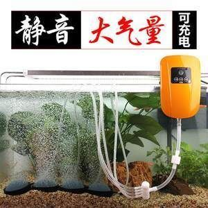 如何保持虎魚缸內高溶氧，保持虎魚缸內高溶氧的方法