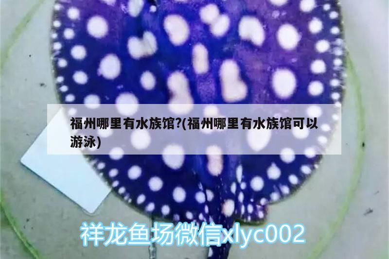 福州哪里有水族館?(福州哪里有水族館可以游泳)