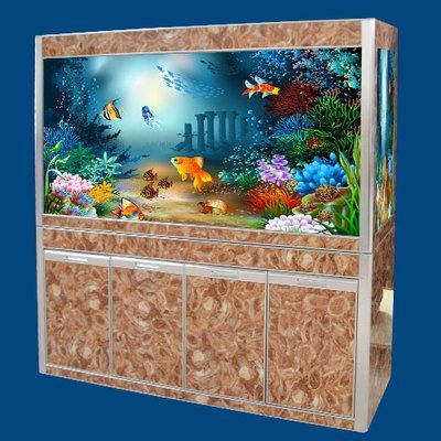500元左右的魚缸：500元左右的魚缸養殖常見問題及購買建議及解決方案