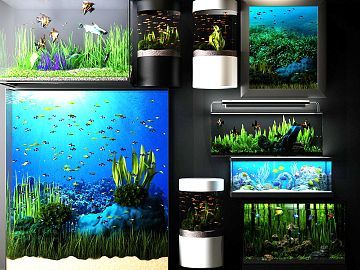 500元左右的魚缸：500元左右的魚缸養殖常見問題及購買建議及解決方案