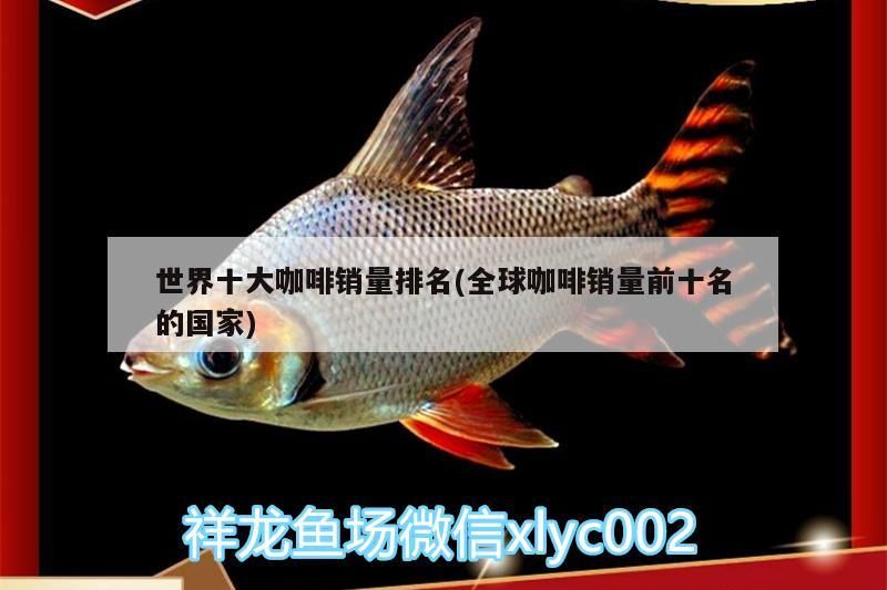 世界十大咖啡銷量排名(全球咖啡銷量前十名的國家)