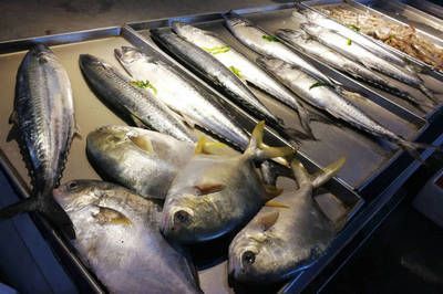 海鮮市場(chǎng)觀賞魚(yú)有哪些（十大最美的海鮮市場(chǎng)觀賞魚(yú)海鮮市場(chǎng)觀賞魚(yú)推薦29篇）