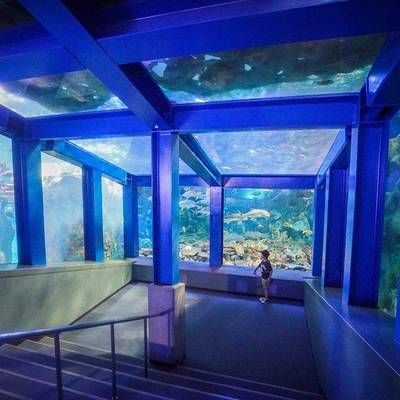 全國水族館排行2020：海昌海洋公園游玩攻略