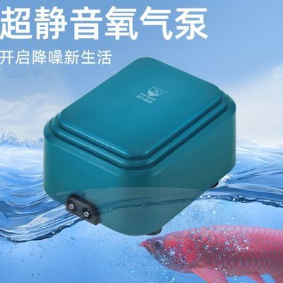 魚缸增氧機(jī)不增氧了是什么情況，如何正確維護(hù)魚缸增氧機(jī) 魚缸增氧機(jī)不增氧了是什么情況，如何正確維護(hù)魚缸增氧機(jī) 魚缸百科 第1張