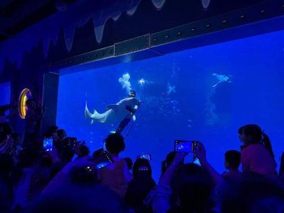 水族館制作廠家電話:水族館制作廠家電話的作用 水族館百科(水族館加盟) 第5張 水族館制作廠家電話:水族館制作廠家電話的作用 水族館制作廠家電話:水族館制作廠家電話的作用 水族館百科(水族館加盟) 第5張