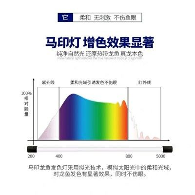 馬印神燈有助于發(fā)色嗎為什么：馬印神燈有助于發(fā)色嗎 馬印神燈有助于發(fā)色嗎為什么：馬印神燈有助于發(fā)色嗎 馬印水族 第2張