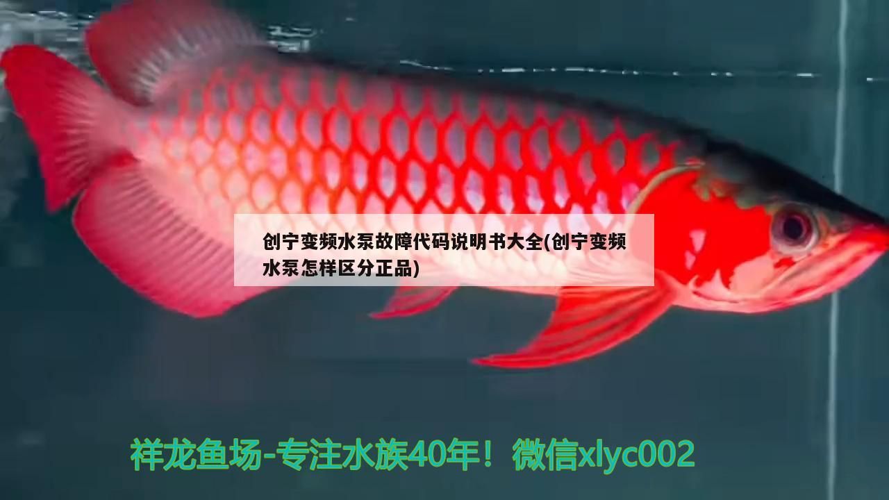 創寧變頻水泵故障代碼說明書大全(創寧變頻水泵怎樣區分正品)