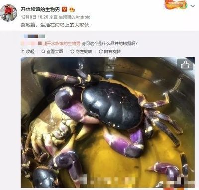 水族館主要經營什么類目的：水族館特許經營案例分析水族館特許經營案例分析