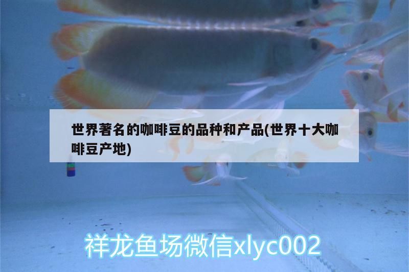 世界著名的咖啡豆的品種和產(chǎn)品(世界十大咖啡豆產(chǎn)地)