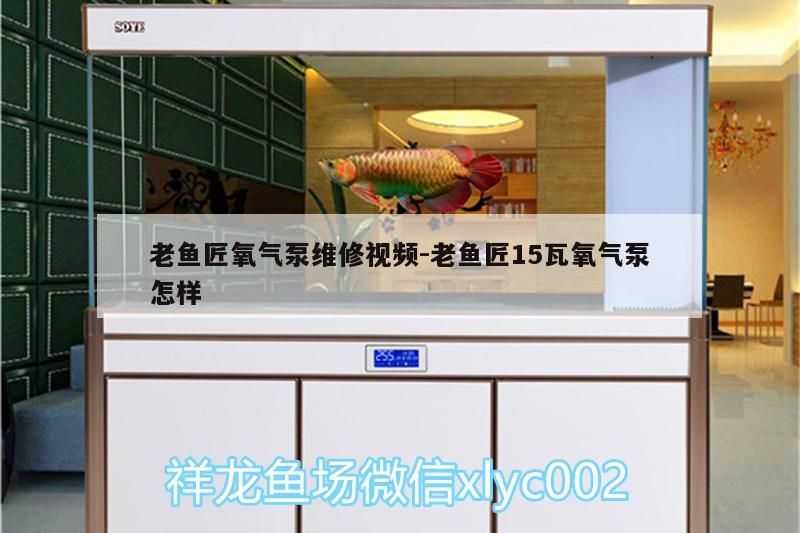 老魚匠氧氣泵維修視頻:老魚匠15瓦氧氣泵怎樣