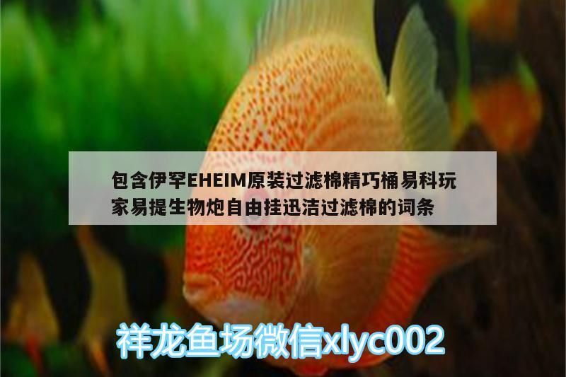 包含伊罕EHEIM原裝過濾棉精巧桶易科玩家易提生物炮自由掛迅潔過濾棉的詞條
