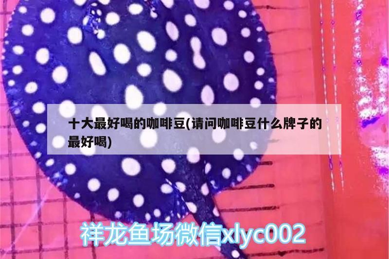 十大最好喝的咖啡豆(請問咖啡豆什么牌子的最好喝)