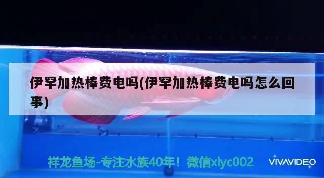 伊罕加熱棒費電嗎(伊罕加熱棒費電嗎怎么回事)