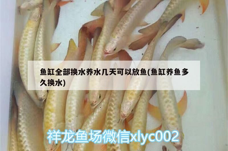 七彩神仙魚缸飄著白色絮狀物（七彩神仙魚缸底顏色）