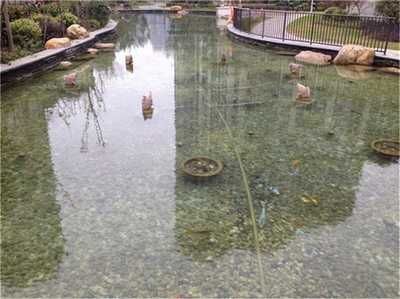 戶外魚池沒有過濾系統怎么辦（戶外魚池設計中魚池的過濾系統）