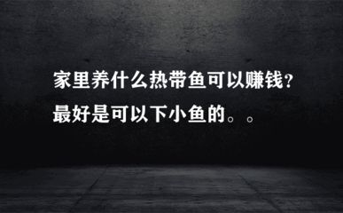 黑帝王魟魚 最便宜的魟魚:新手選擇珍珠魟魚練手,最便宜的魟魚可能是珍珠魟魚 魟魚百科 最便宜的魟魚:新手選擇珍珠魟魚練手,最便宜的魟魚可能是珍珠魟魚 最便宜的魟魚:新手選擇珍珠魟魚練手,最便宜的魟魚可能是珍珠魟魚 魟魚百科