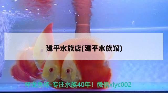 建平水族店(建平水族館)