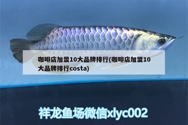 咖啡店加盟10大品牌排行(咖啡店加盟10大品牌排行costa) 咖啡店加盟10大品牌排行(咖啡店加盟10大品牌排行costa) 馬來西亞咖啡