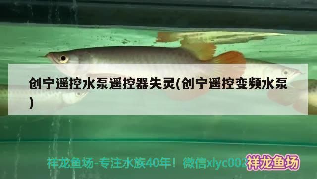 創寧遙控水泵遙控器失靈(創寧遙控變頻水泵)
