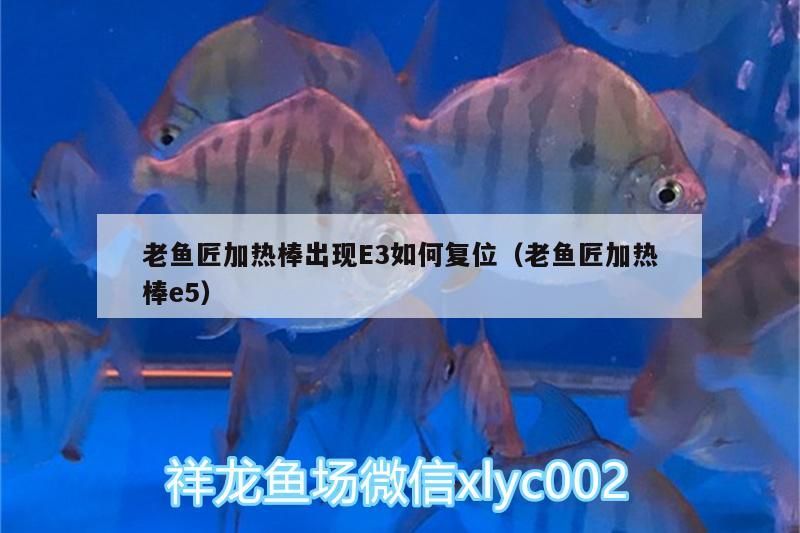 老魚匠加熱棒出現(xiàn)E3如何復(fù)位（老魚匠加熱棒e5）