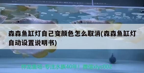 森森魚缸燈自己變顏色怎么取消(森森魚缸燈自動設置說明書)